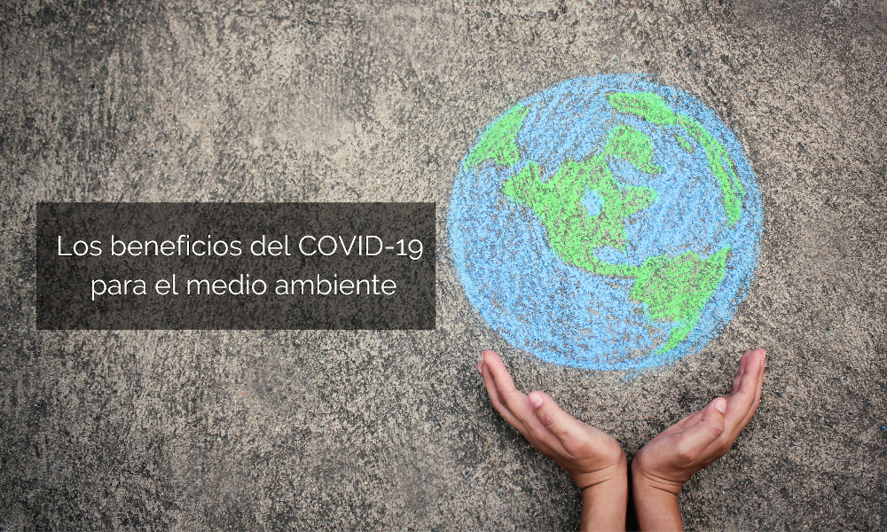 Riesgos y oportunidades de la Covid-19 para el medio ambiente